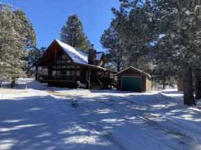 Painted Pony Cabin